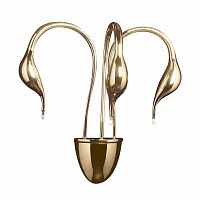 бра lightstar cigno collo 751632 в Омске