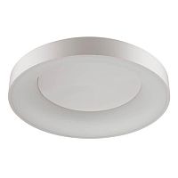 потолочный светодиодный светильник odeon light sole 4062/80cl в Омске