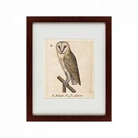 картина: one owl, 1560 в Омске