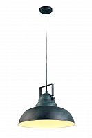 подвесной светильник arte lamp martin a5213sp-1bg в Омске