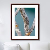 картина: trees on the galapagos islands, ecuador no3 в Омске