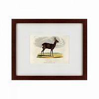 картина: a roebuck, 1830 в Омске