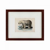 картина: white polar bear on an ice, 1830 в Омске