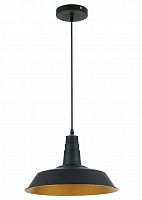 подвесной светильник odeon light kasl 3378/1 в Омске