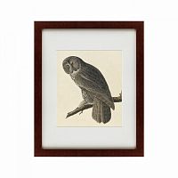 картина: great gray owl, 1834 в Омске