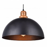 подвесной светильник arte lamp eurica a4249sp-1bk в Омске