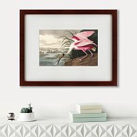 картина: roseate spoonbill, 1827 в Омске