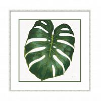 постер monstera зеленый в Омске