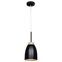 подвесной светильник loft it restor loft4402a-bl в Омске