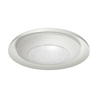 потолочный светодиодный светильник odeon light benso 4623/48cl в Омске