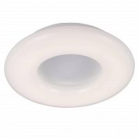потолочный светильник st luce sl902.502.01d в Омске