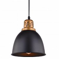 подвесной светильник arte lamp eurica a4245sp-1bk в Омске