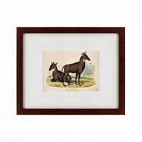 картина: two nilgais, 1830 в Омске