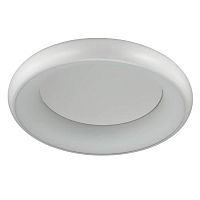 потолочный светодиодный светильник odeon light rondo 4063/50cl в Омске