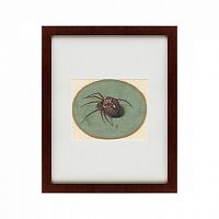 картина: spider, 1690 в Омске