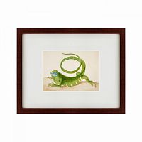 картина: green iguana, 1701 в Омске