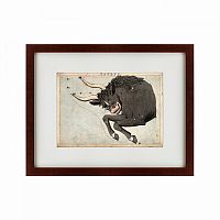 картина: signs of zodiac taurus, 1825 в Омске