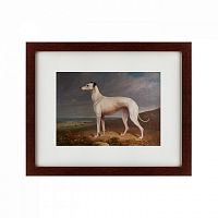картина: portrait of a greyhound, 1744 в Омске