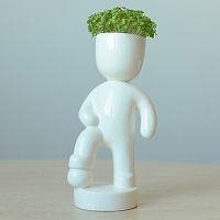 набор для выращивания eco футболист в Омске