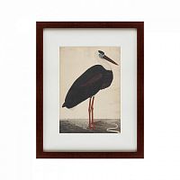 картина: black stork in a landscape, индия, 1780 в Омске