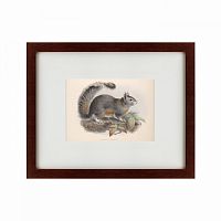 картина: the squirrel, 1879 в Омске
