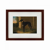 картина: portrait of a greyhound called pompon, 1746 в Омске