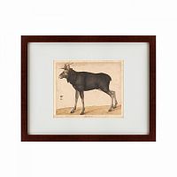 картина: moose, 1560 в Омске