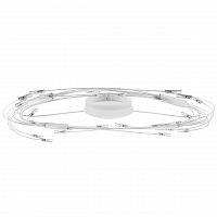 потолочный светильник lightstar ovale 784246 в Омске