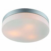 потолочный светильник arte lamp shirp a3211pl-3si в Омске