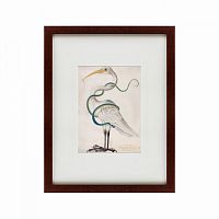 картина: heron encircled by a snake, 1700 в Омске