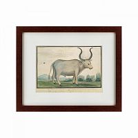 картина: cape ox, 1778 в Омске