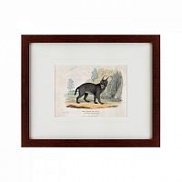 картина: a caracal or lynx, 1830 в Омске