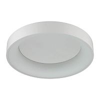 потолочный светодиодный светильник odeon light sole 4062/50cl в Омске