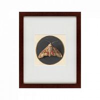 картина: owlet moth, 1700 в Омске